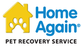 Home Again Banner