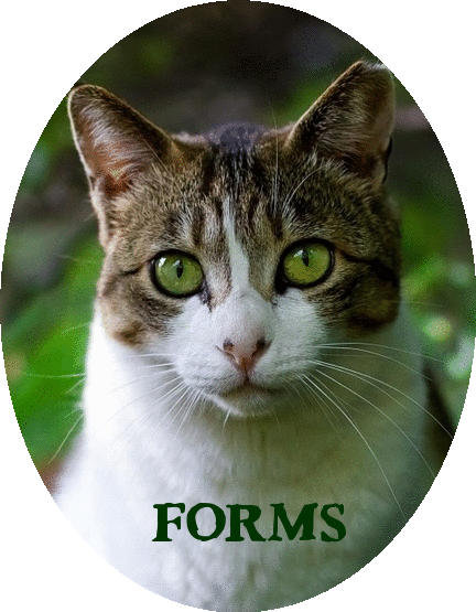 Forms Picture - Northwoods Animal Hospital Cary NC