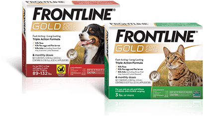 Frontline Frontline