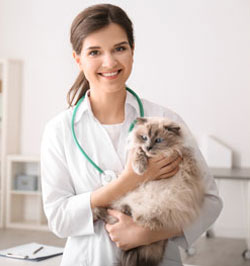 doctor with cat