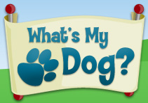 Whats my dog logo