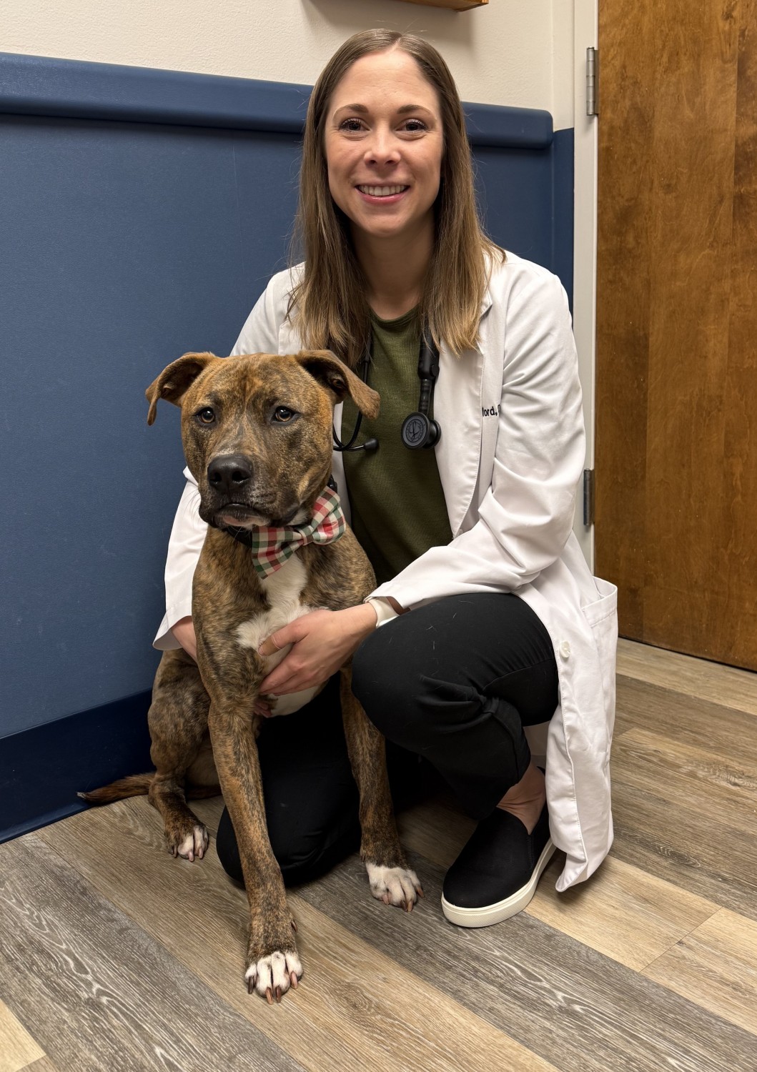 Dr Cody Crawford - Northwoods Animal Hospital, Cary, NC
