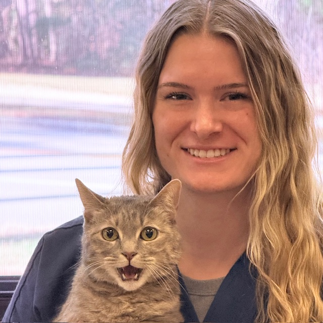 Brittany, Assistant&nbsp;