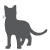 Feline Neuter & Declaw Form